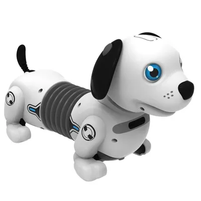 Развивающая интерактивная игрушка Робот собака с шестеренками, белая /  Танцующая собака - купить с доставкой по выгодным ценам в интернет-магазине  OZON (1182862883)