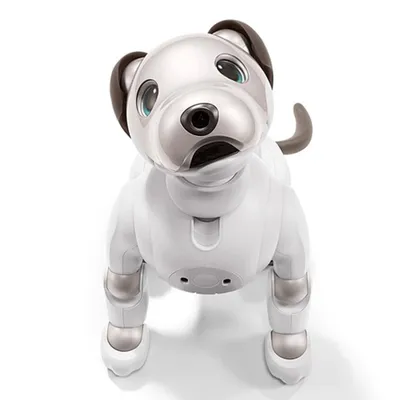 Умный робот-собака с искусственным интеллектом. Sony Aibo купить в Москве  по приятной цене