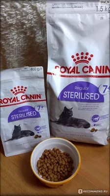 Купить Royal Canin Sterilised, корм для стерилизованных кошек -  Интернет-зоомагазин Zoolove