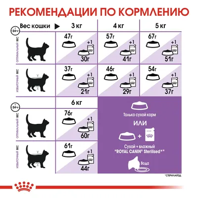 Royal Canin Sterilised 37 Сухой корм для стерилизованных кошек АКЦИЯ 12  паучей корма в подарок 4 кг (1131710) - купить на Korm.com.ua