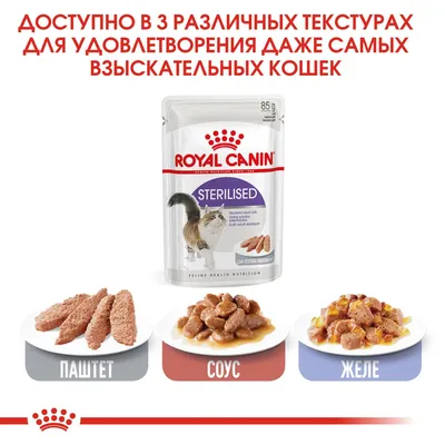 Royal Canin Sterilised для стерилизованных кошек по цене от 239 рублей -  купить с доставкой по Новосибирску в интернет-магазине Мокрый нос