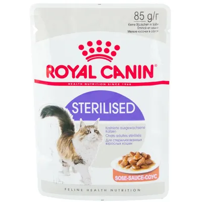 Royal Canin (Роял Канин) Sterilised 7+ Appetite Control - Сухой корм для кастрированных  котов и кошек старше 7 лет, (которые выпрашивают еду) купить Сухой корм для  кошек Royal Canin | Zoolandia