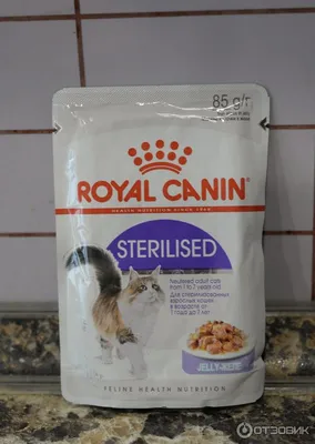 Роял Канин корм сухой для стерилизованных кошек 2 кг ROYAL CANIN 163745821  купить за 1 905 ₽ в интернет-магазине Wildberries