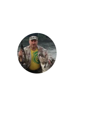 Щенок западно-сибирской лайки (сука) — купить в Красноярске. Собаки, щенки  на интернет-аукционе Au.ru
