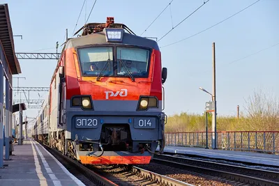 Вдвое быстрее «Сапсана»: В России появится отечественный высокоскоростной  поезд - KP.RU