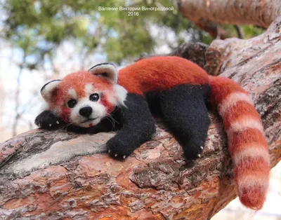 Buy Amuse Red Panda Plush in Pink and Red - Jellybeet