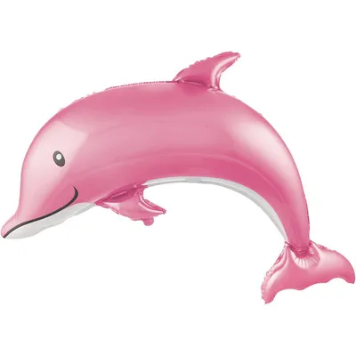 В США заметили дельфина редкого розового цвета - Фейк или правда - Лапша  Медиа
