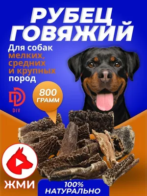 🐾 Купить Country snack лакомство \"Говяжий рубец\" для собак (3 упаковки по  40 г.) , цена 316 ₽ в магазине или с доставкой на дом в городе Москва |  Fraulen