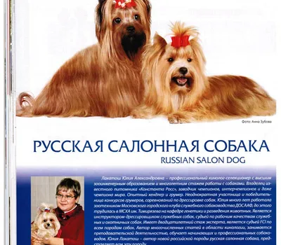 Русская салонная собака | ЗооАфиша | Дзен