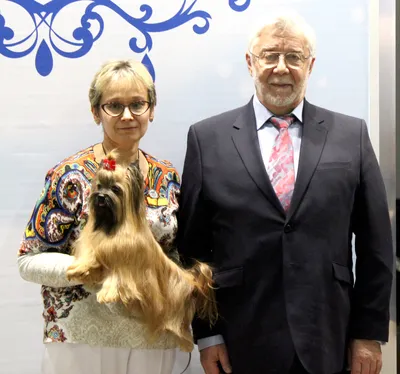 РУССКАЯ САЛОННАЯ СОБАКА (Russkaya Salonnaya Sobaka) (Russian Salon Dog)