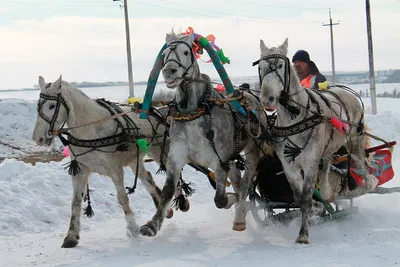 Русская тройка лошадей, скачут вдоль…» — создано в Шедевруме