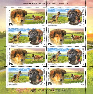 Карточки мини русские «Породы собак с фактами» 477317 купить в  интернет-магазине Miramida