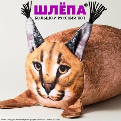 Коврик для мыши Шлёпа Большой Русский Кот - купить с доставкой по выгодным  ценам в интернет-магазине OZON (794862153)