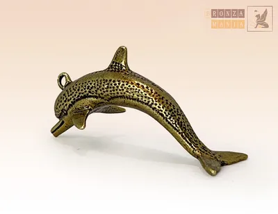 Дельфин Рыба Млекопитающих - Бесплатное изображение на Pixabay - Pixabay