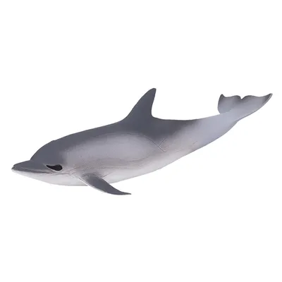 Купить рыбку Голубой дельфин (Cyrtocara moorii)