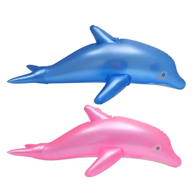 Бесплатное изображение: рыба, Дельфин, водный, подводный, море, океан,  животных