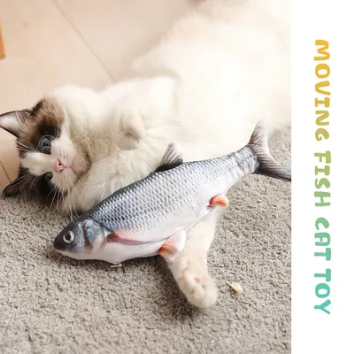 Можно ли кормить кошек рыбой? | fish2o | производитель премиум лосося | Дзен