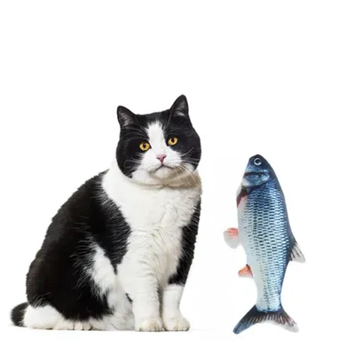 Обои Кот и золотая рыбка, картинки - Обои для рабочего стола Кот и золотая  рыбка фото из альбома: (кошки)