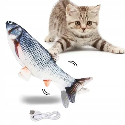 Можно ли кормить кота сырой рыбой в домашних условиях | РБК Украина