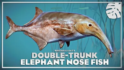 Planet Zoo — Рыба-слон с двойным хоботом — новые виды / Существа и монстры  / Персонажи и игроки