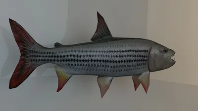 Игрушка антистресс Игрушка «Чудо-Юдо Рыба-Тигр» напрямую от производителя