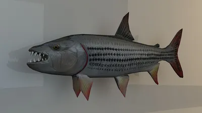 фальсифицированная рыба-тигр (Hydrocynus Goliath) 3D Модель $40 - .max -  Free3D