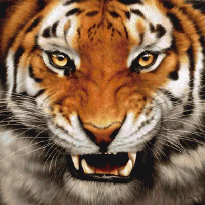 Купить фотообои Рычащий тигр арт. 103013 на стену: цены, фото, каталог -  интернет-магазин «LIKE»