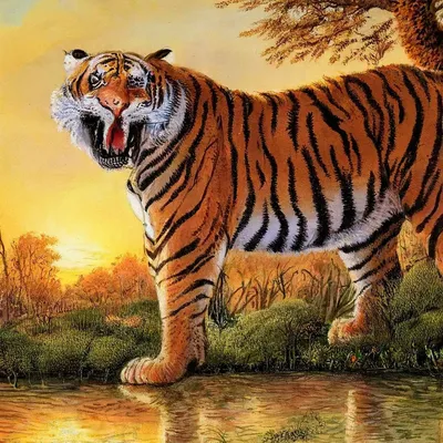 Картина по номерам X-315 \"Рычащий тигр\" 50x70 — купить в интернет-магазине  по низкой цене на Яндекс Маркете