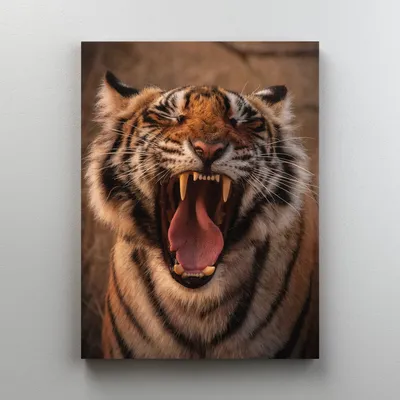 Картина по номерам \"Рычащий тигр\"