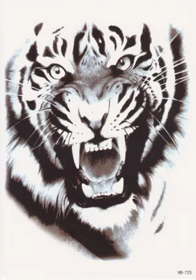 Рычание тигра стоковое изображение. изображение насчитывающей драматическо  - 32366557