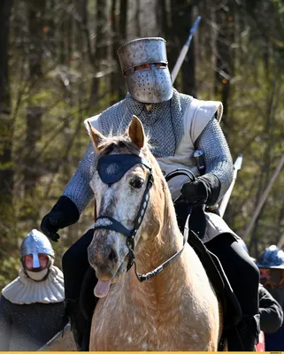 Рыцарь-мужчина на боевом коне | Премиум Фото