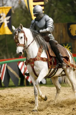 Фигурное украшение Средневековый рыцарь на коне »Thecrazyfifties.es