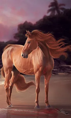 Рыжая лошадь смотрит вдаль Stock Photo | Adobe Stock