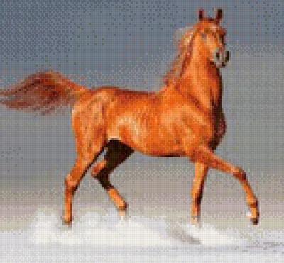 Рыжая лошадь - картинки и фото poknok.art