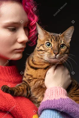 Картина с рыжим котом | Премиум Фото