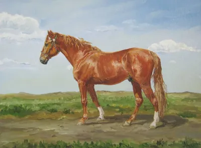 Картина «Рыжий конь.» Холст на картоне, Масло 2016 г.