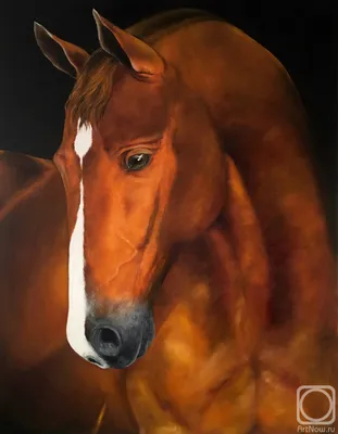 Скачать 1920x1200 живопись, конь, лошадь, рыжий, сбруя, тучи обои, картинки  16:10