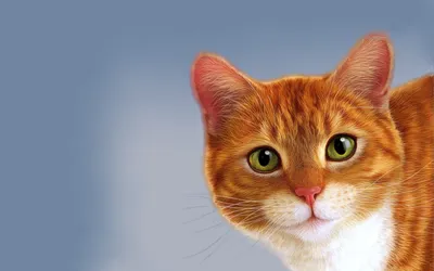Скачать обои Рыжий кот, кот лежит, рыжие глаза, взгляд на рабочий стол из  раздела картинок Кошки и коты