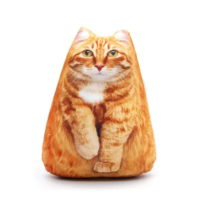 Рыжий Кот Кошка - Бесплатное фото на Pixabay - Pixabay