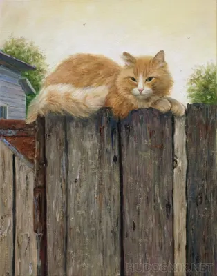 Толстый рыжий кот из популярных интернет-мемов живет в Петербурге - KP.RU