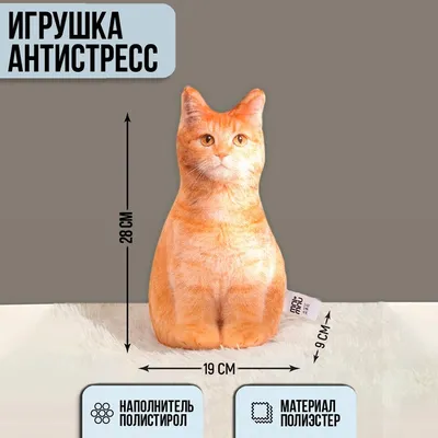 Канвас 40х40 см Рыжий кот купить недорого в интернет-магазине товаров для  декора Бауцентр