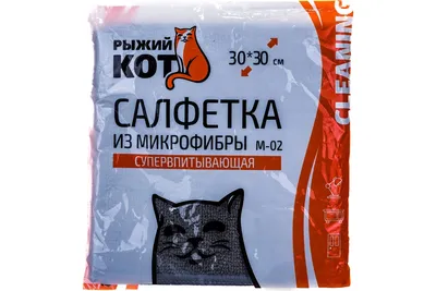 Картина Рыжий кот ᐉ Ткаченко Татьяна ᐉ онлайн-галерея Molbert.