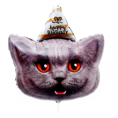 Кот с ромашками: открытки с днем рождения подруге - инстапик | С днем  рождения, Открытки, С днем рождения подруга