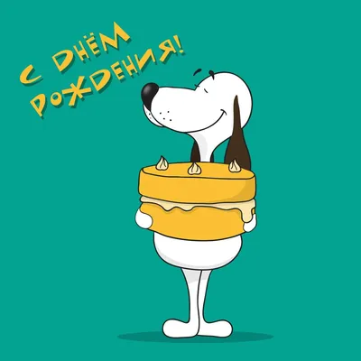 Смешная собака: открытки ко дню рождения - инстапик | День рождения собаки,  Открытки, С днем рождения