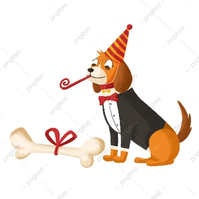 Открытка с днем рождения с приколом Собака забывака веселая и милая -  купить с доставкой в интернет-магазине OZON (695754422)