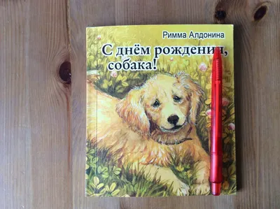 Колпак бумажный «С Днём Рождения», собаки, (набор 6 шт) купить в Чите  Колпаки в интернет-магазине Чита.дети (9559049)