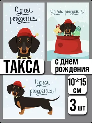 день рождения собаки PNG , день рождения, прекрасный, собака PNG картинки и  пнг PSD рисунок для бесплатной загрузки