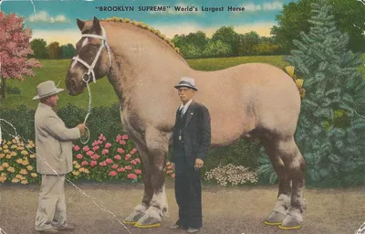Самая большая лошадь в мире» — создано в Шедевруме