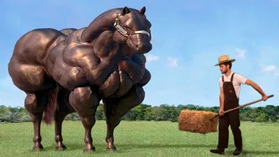 Вот Как Выглядит Самая Большая Лошадь в Мире - YouTube
