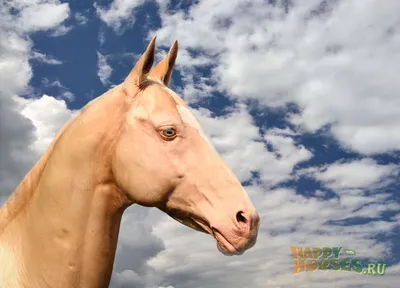Самая большая надувная лошадь из ПВХ | AliExpress
